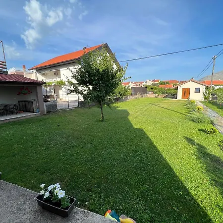 Dante * トレビニエ